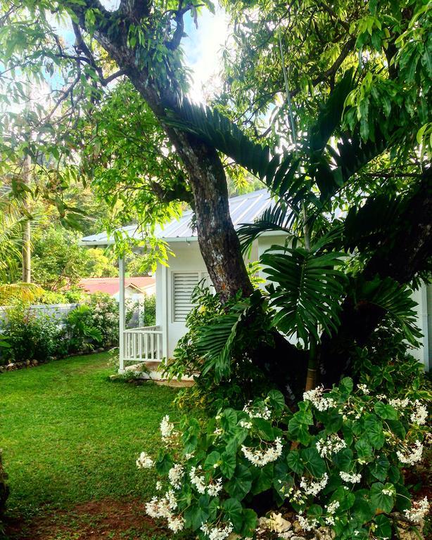 Search-Me-Heart Bed and Breakfast Port Antonio Buitenkant foto